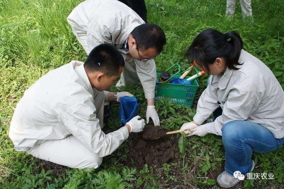 环境监控系统_广西广电网络田东电视台机房动力环境监控改造项目_阳泉机房动力环境监控厂家