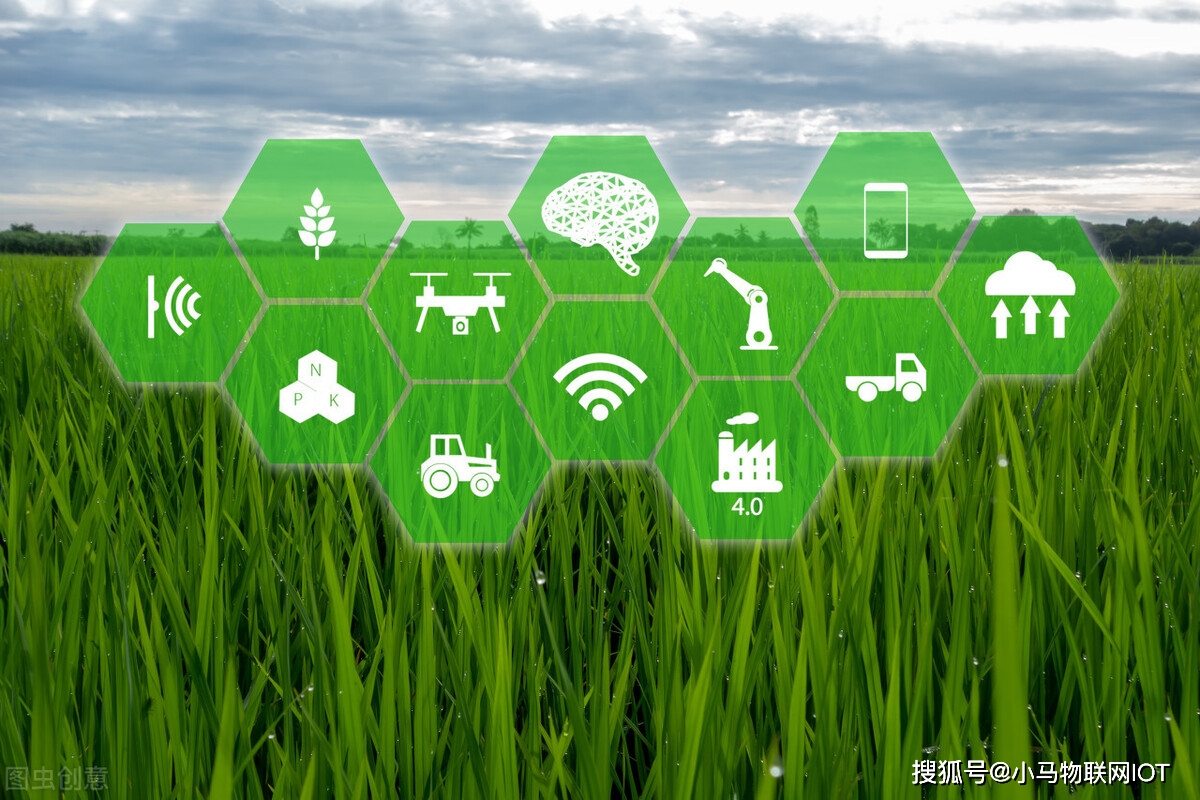 智能农业物联网ppt_智能农业_张桃林视察中国电信智能农业大棚