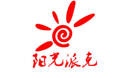智能梯控十大品牌-阳光派克