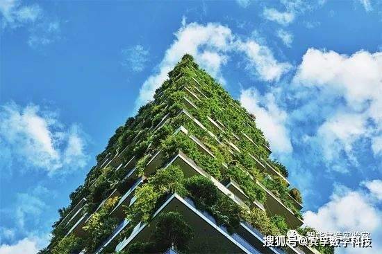 江森自控 楼宇_江山毛建森_江西源森红花茶油