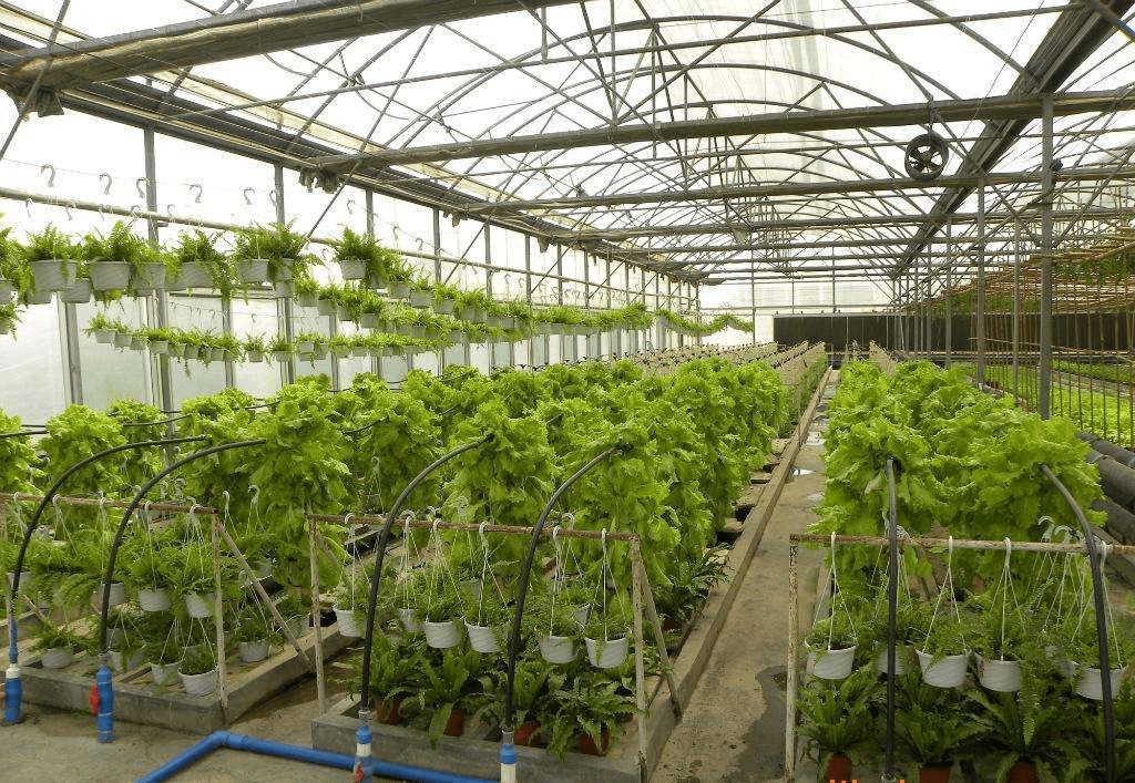 电动开窗器原理_电动开窗机_电动窗户电动开窗器