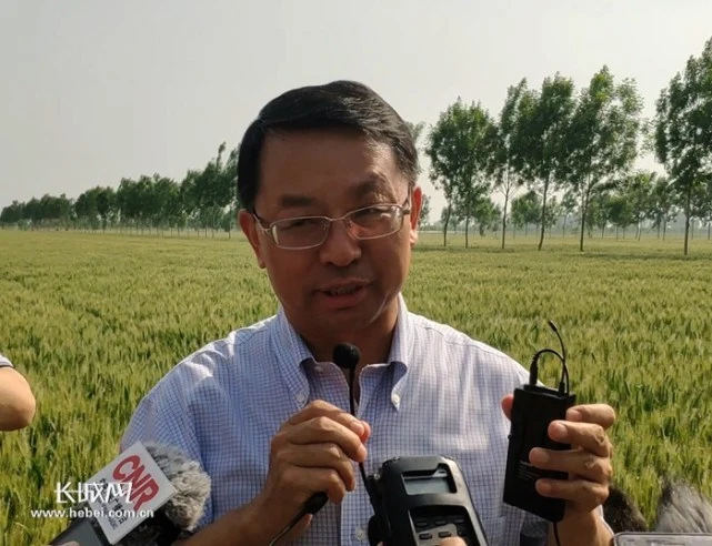 乾翔农业生态园项目_现代农业项目_镇宁县立秋坡农业有限公司油茶种植项目,下载