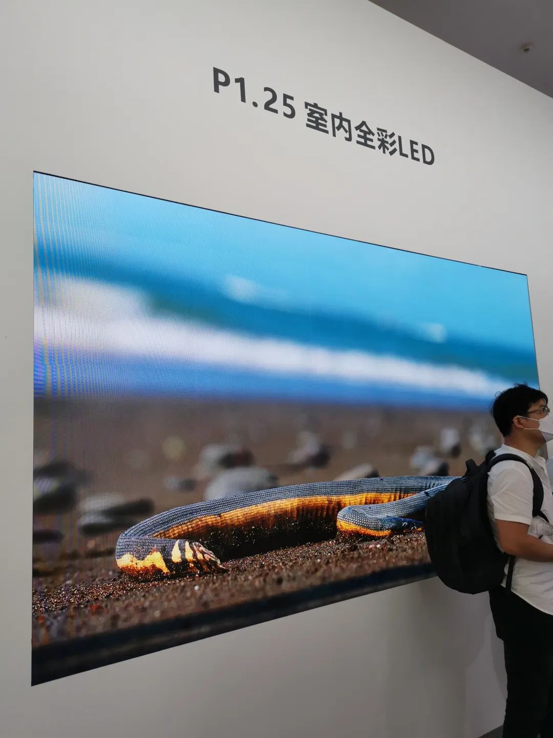 2020年音视频行业即将面临一场大的风暴！又一轮洗牌开始了