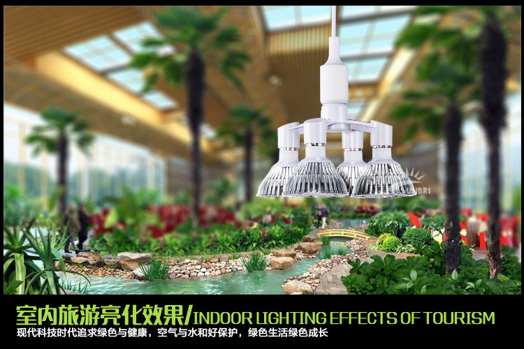 疏散照明和备用照明_得邦照明和明凯照明_照明