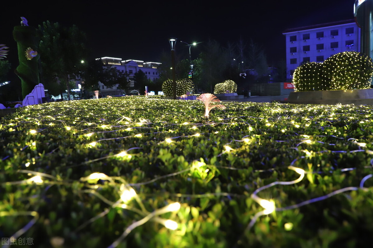 城市夜景亮化工程—植物泛光照明