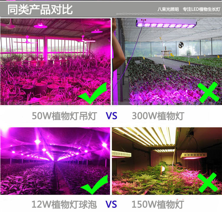 小溪泛尽中泛的意思_三本照明照明_泛光照明