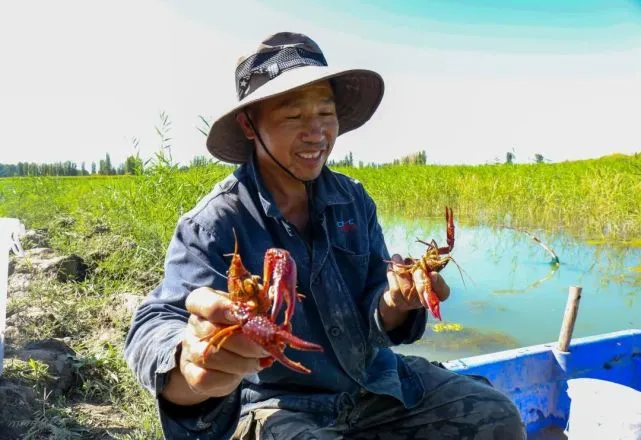 智慧园区如何体现智慧_智慧园区运营专家_山东智慧园区
