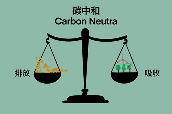 个人如何享受碳普惠？深圳“造”个了低碳星球