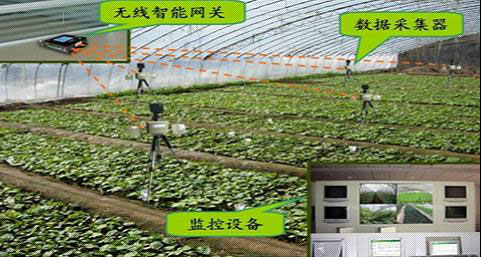 吐哈油田抽油机无线监控_有线监控能改无线监控吗_无线监控系统