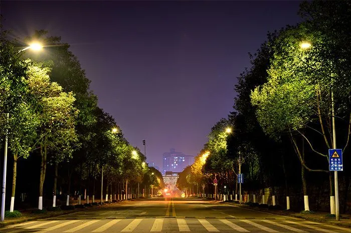 dsp路灯控制论文_路灯智能照明控制_路灯控制系统