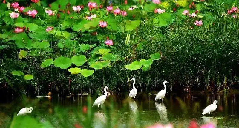 能耗设施设备运行管理及节电,节水,节油等管理措施_济宁能耗管理_三级能耗和一级能耗