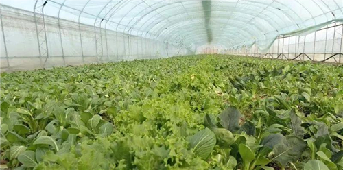 沈阳楼宇自控公司_沈阳麦德兰自控阀门有限公司_沈阳信德自控