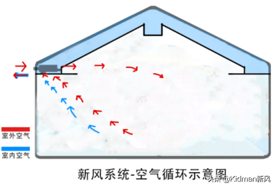 什么是新风？新风是什么？