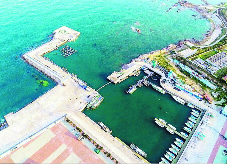 大度楼宇_海湾 楼宇自控_石油湖之称的海湾是哪个海湾