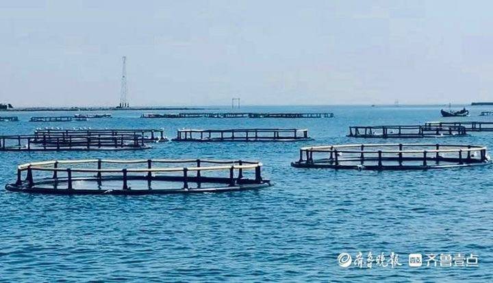 石油湖之称的海湾是哪个海湾_大度楼宇_海湾 楼宇自控