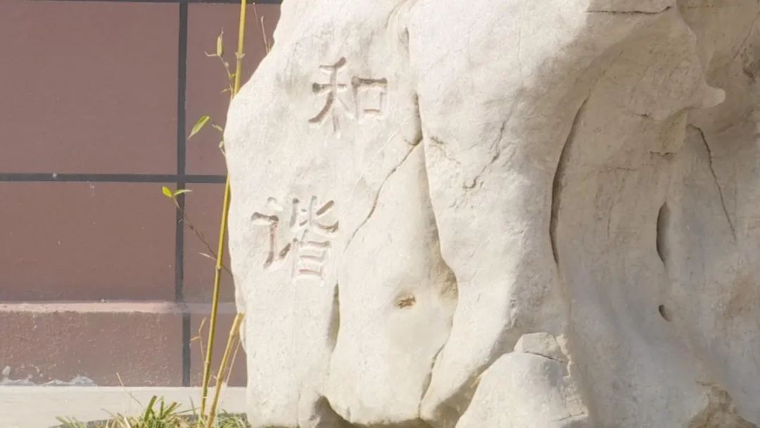 好品山东｜杠赛来！济南这个小区的路灯竟然能给手机无线快充