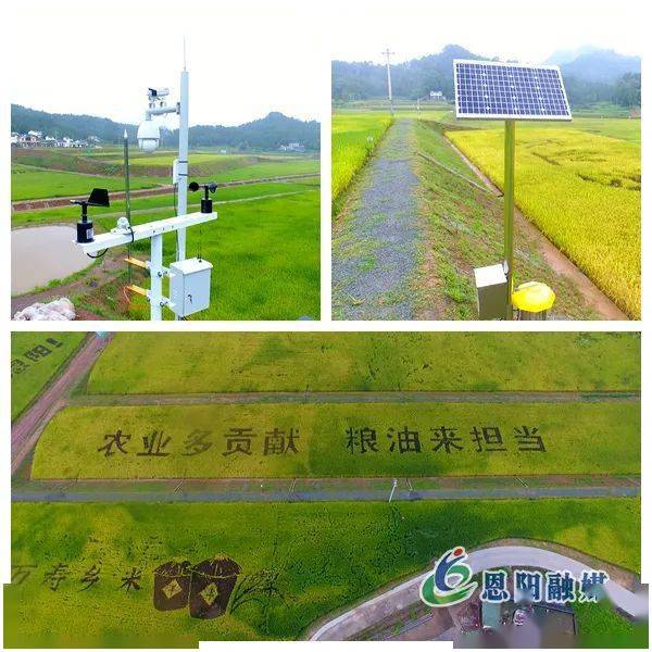 2016中国智慧园区运营·上海峰会_智慧型园区_智慧园区app