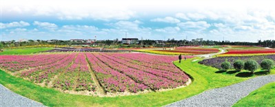 上海周浦国际医学园区_周浦智慧园区_周浦医学园区总厂