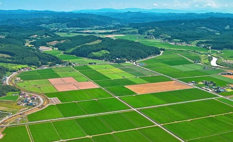 农业生态园项目可行性报告_镇宁县立秋坡农业有限公司油茶种植项目,下载_现代农业项目