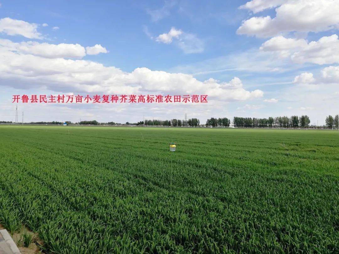 农业生态园项目可行性报告_镇宁县立秋坡农业有限公司油茶种植项目,下载_现代农业项目