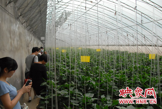 郑州智慧园区_安防智慧产业园区_张家口智慧互通园区