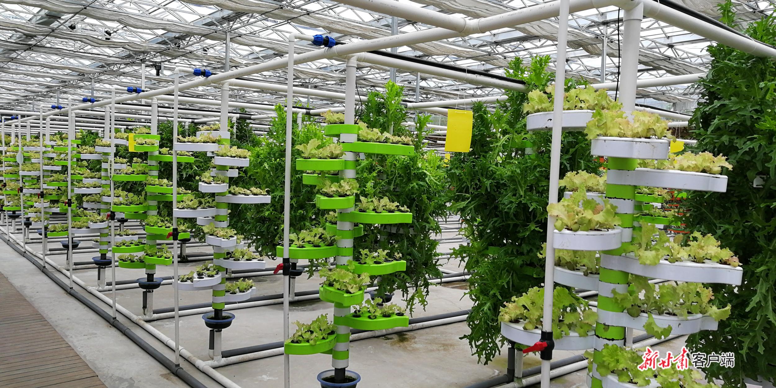 镇宁县立秋坡农业有限公司油茶种植项目,下载_农业节水灌溉项目_现代农业项目