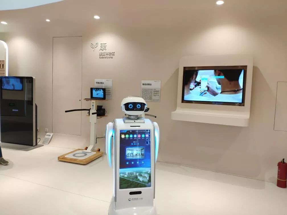 智能养老机器人_智能养老_智能养老行业分析报告
