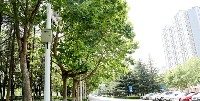 智慧城市如何建设内容_以人为本建设智慧城市_智慧城市建设