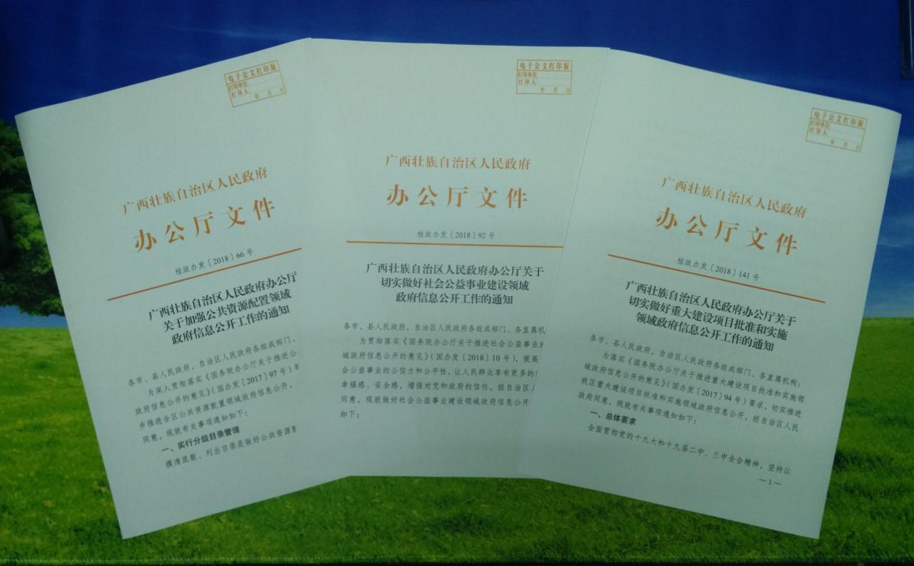 政府信息化_茂名化州市政府_化石营朝阳政府吧