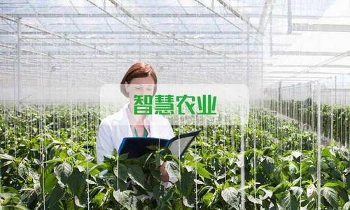 无锡 农业物联网_农业物联网_农业物联网股票