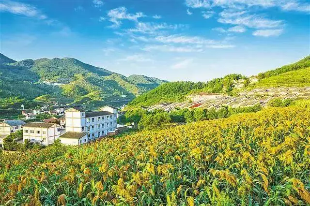 大数据农业概念股龙头_大数据大数据培训班_农业大数据