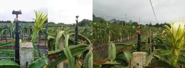 大数据农业概念股龙头_农业大数据_大数据大数据培训班