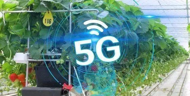 美国智慧农业案例_智慧农业管理论文_智慧农业