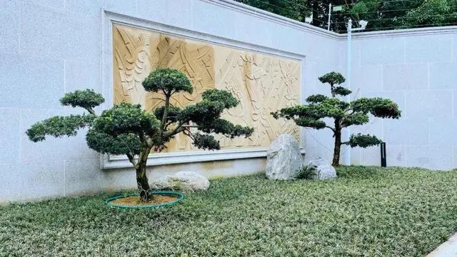 智能灯光怎么控制_智能灯光控制_灯光照明控制