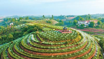 芜湖工业能耗管理系统节能减排_工业节能与建筑节能_中国建筑能耗现状及节能途径分析