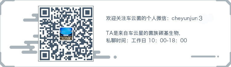 智能后视镜和中控倒车影像哪个好用_智能中控_智能后视镜与中控导航