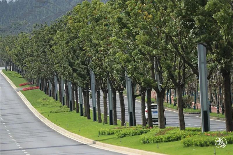 智能灯_天津 施耐德奇胜c-bus智能灯控_爱克智能灯官网