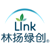 林扬东方