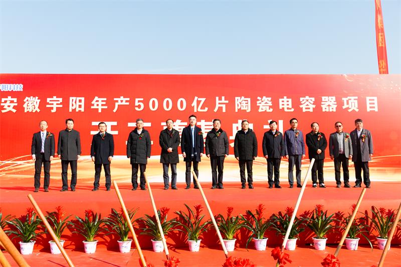 智能电容复合开关_做捕兔器哪种电容好_智能电容器