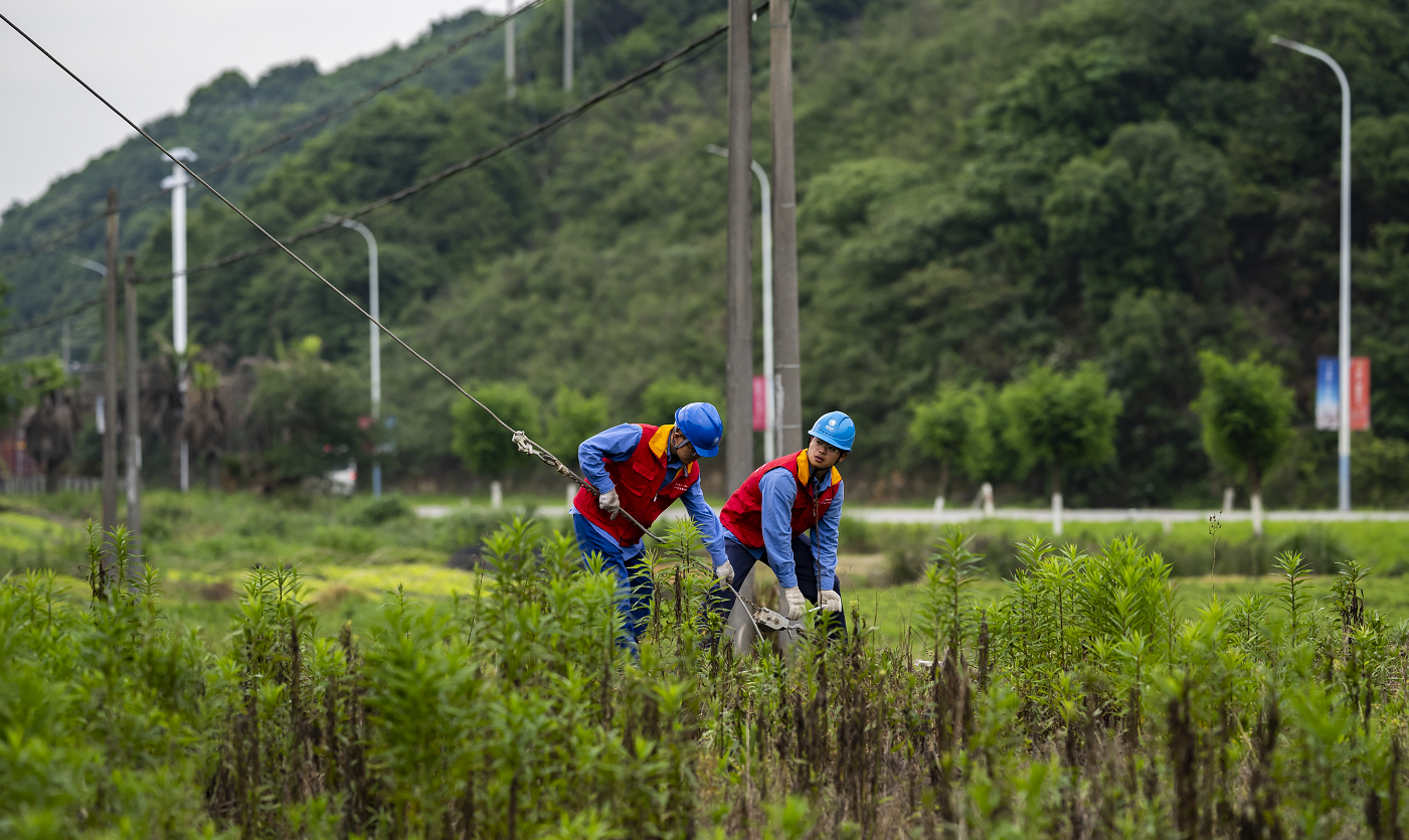 应急预的应急保障_大型楼宇电力节能改造_浙江电力应急楼宇自控品质保障