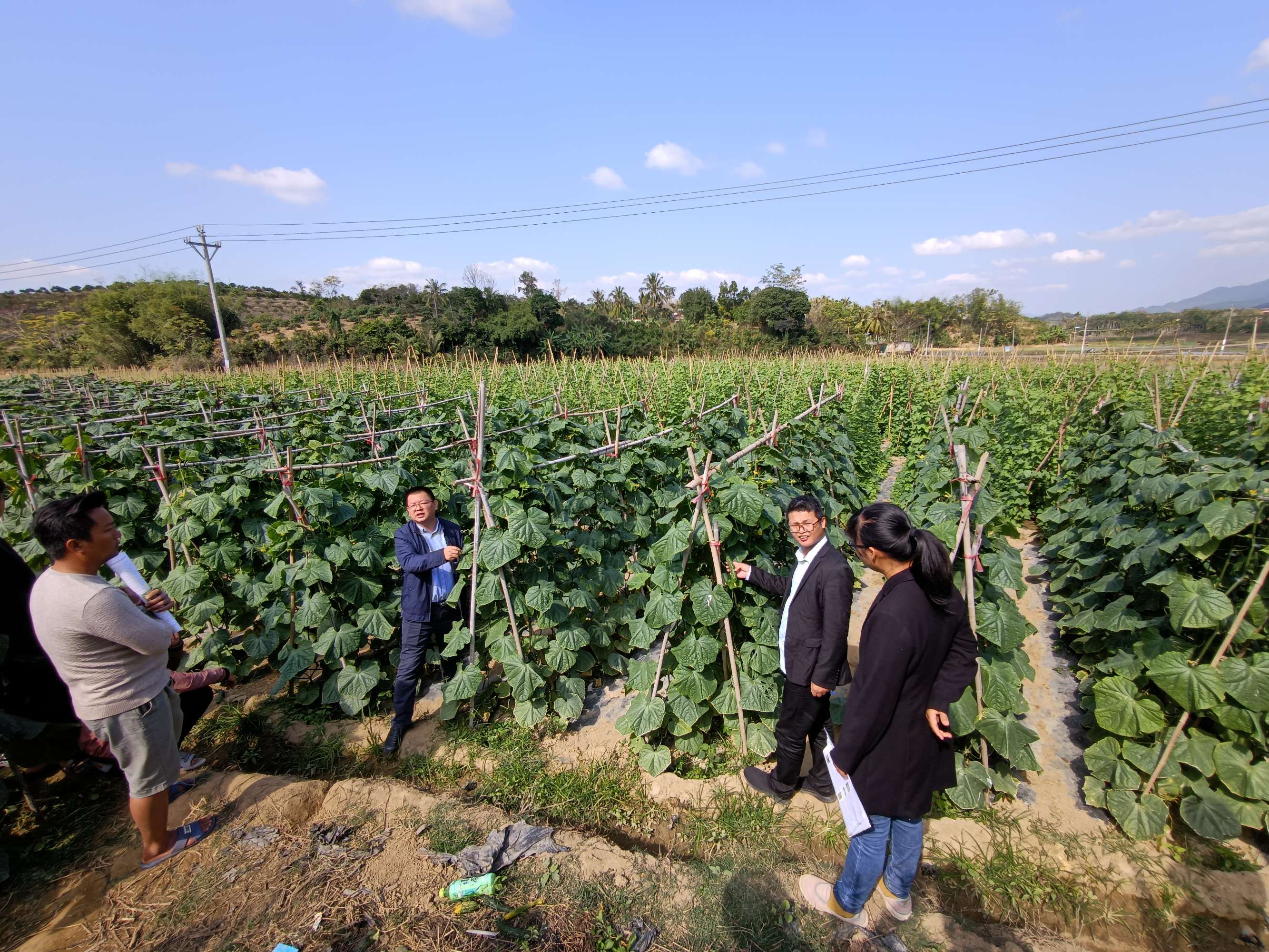 大数据在农业如何应用_农业大数据_大数据之路阿里巴巴大数据实践