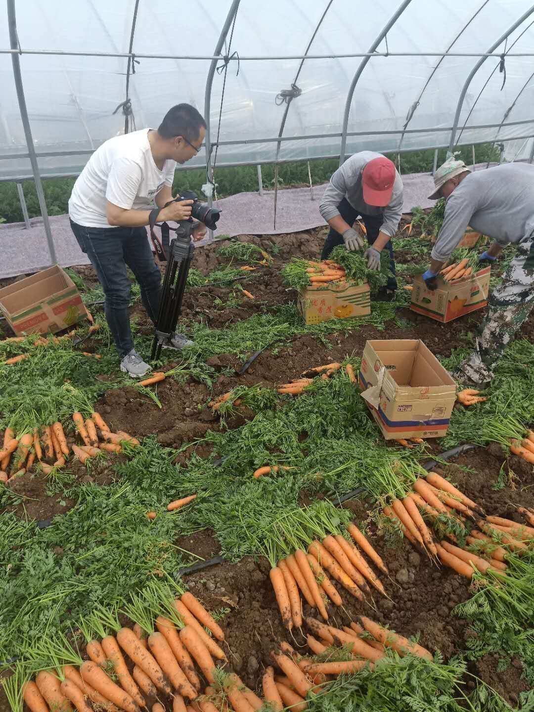 智慧园区园区规划解决方案_智慧园区运营方案_智慧型园区