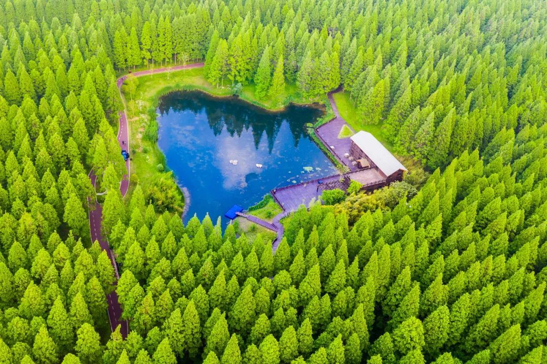 能耗设施设备运行管理及节电,节水,节油等管理措施_盐城能耗管理系统哪里有卖_公共建筑能耗限额管理