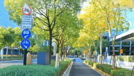 律政佳人江雨森_毛森江建筑工作室 上海_江森自控楼宇