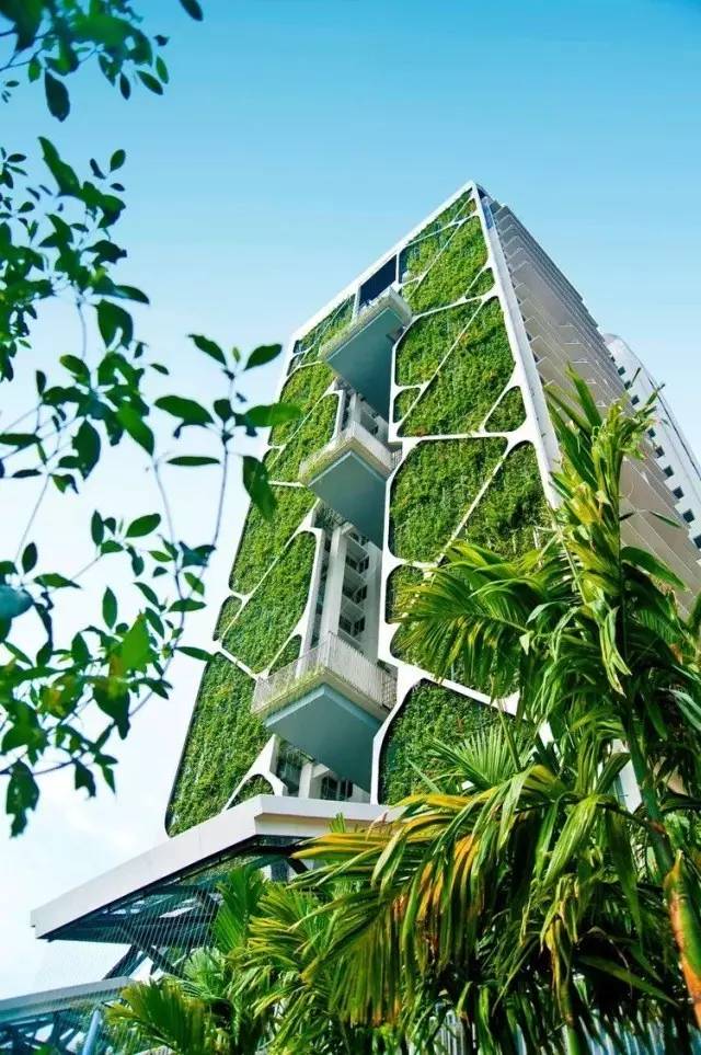 建筑诚信管理平台_江苏建筑信息监管平台_江苏建筑能耗系统管理平台