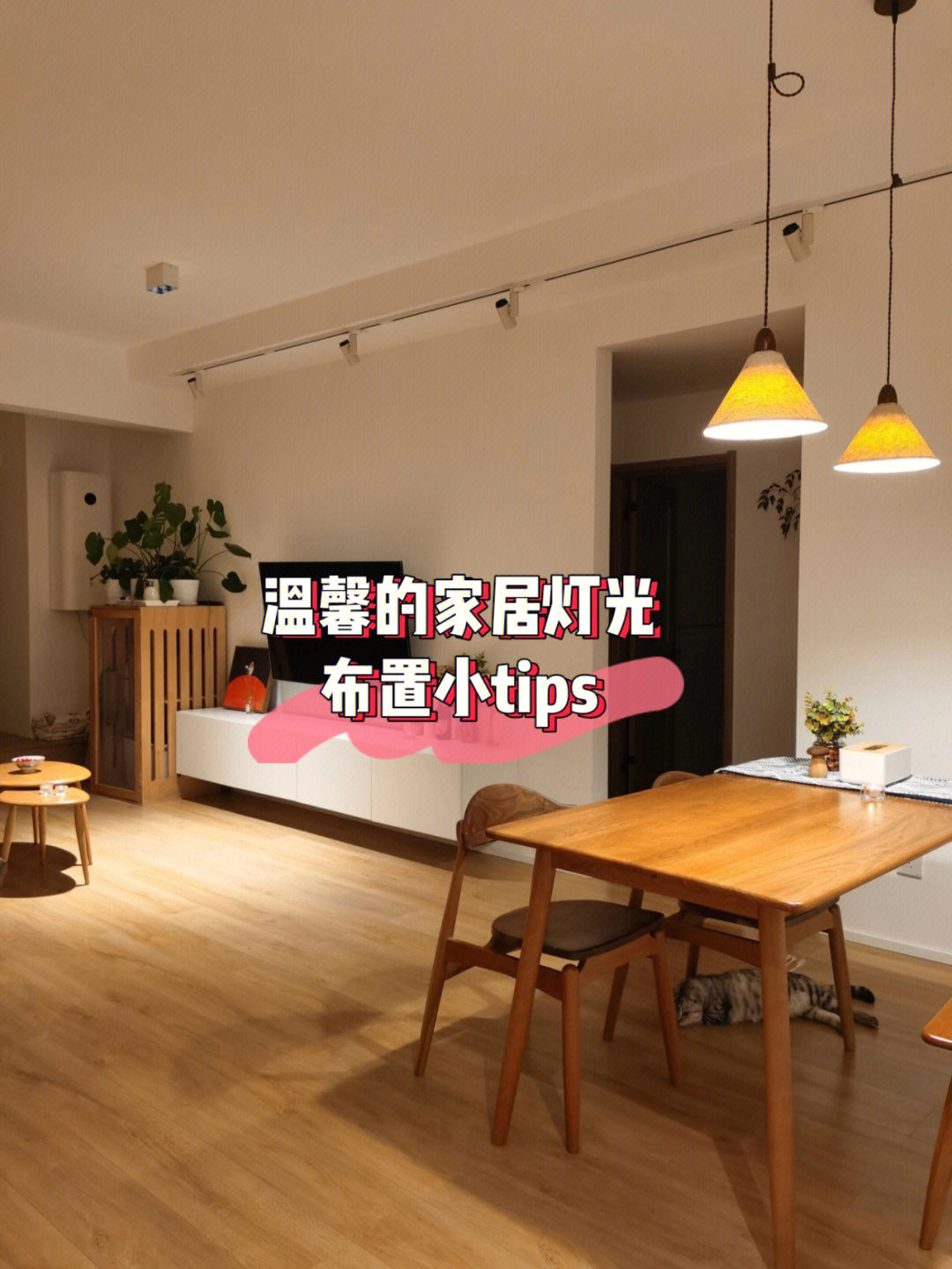 照明_疏散照明和备用照明_智能照明与艺术照明系统工程
