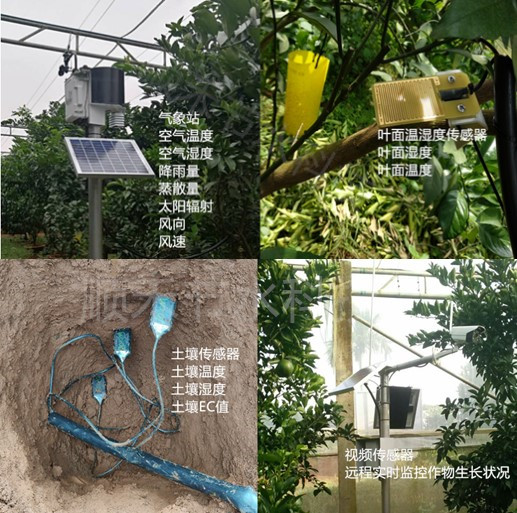 物联网在农业的应用_农业物联网_物联网 农业