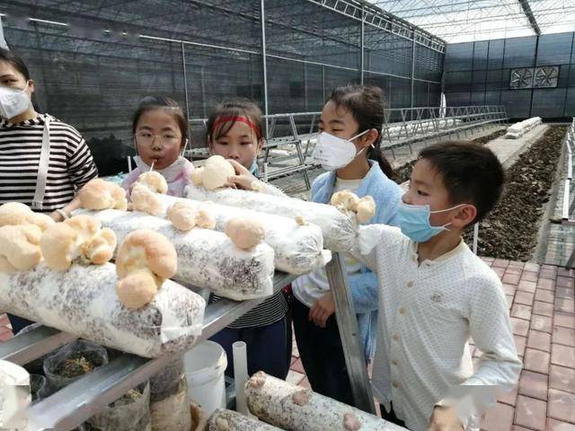 2016工业能耗指标_杭州工厂工业能耗管理系统_小企业工业能耗指标
