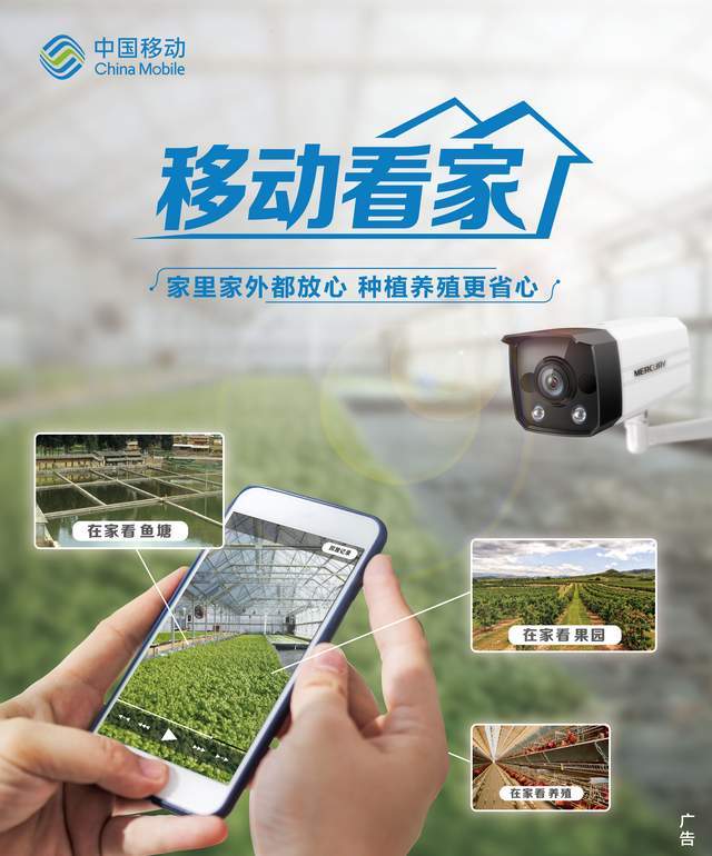 家庭安防智能系统_家庭安防系统_家庭安防报警系统