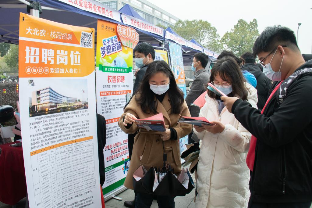楼宇景观照明智能控制系统_湖北咸宁楼宇自控系统招聘_湖北锐意自控怎么样